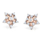Serene Stardust Earrings