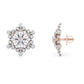 Aurora Adorn Earrings 18K