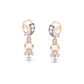 Luminous Earrings